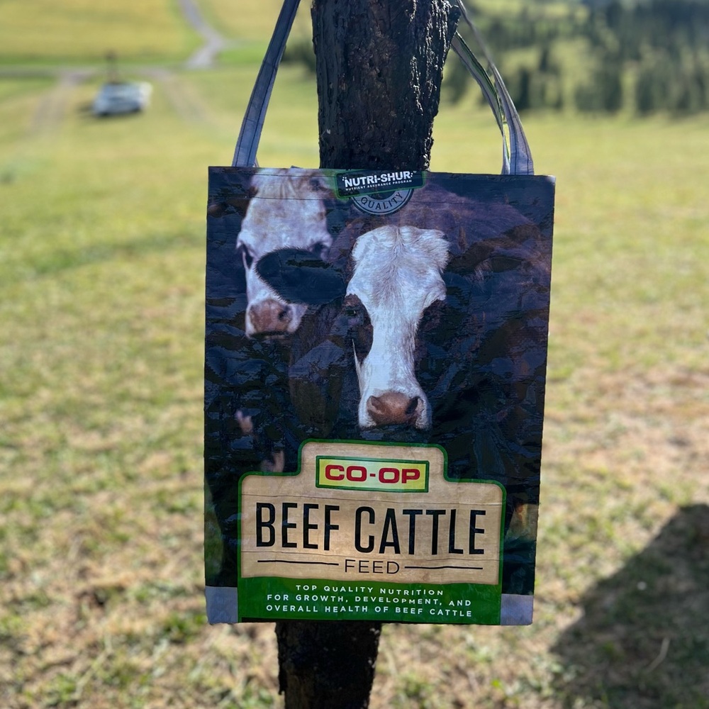 Recycled reversible farm feed sack bag tote. Unique Christmas gift